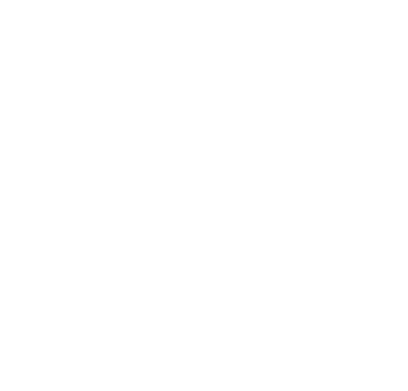 Geodis